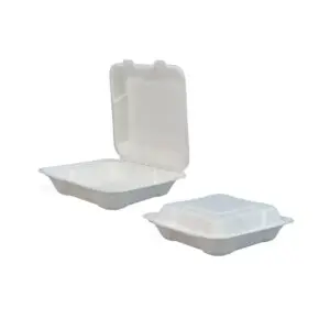 Bagasse Clamshell 8" x 8" (Case of 200)